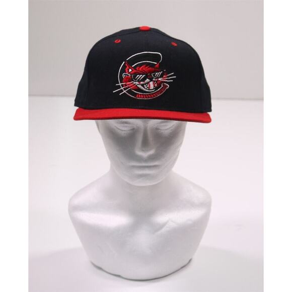 Charleston Alley Cats Vintage New Era Wool Minor Baseball Hat Fitted 7 1/2 - Picture 1 of 6